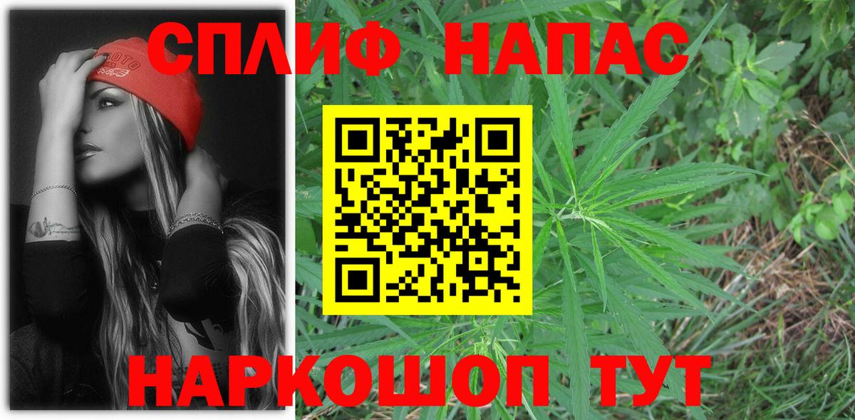 Каннабис семена  Марихуана тримм  Вход с VPN  Марихуана MAZAR  Зима  Каннабис план 